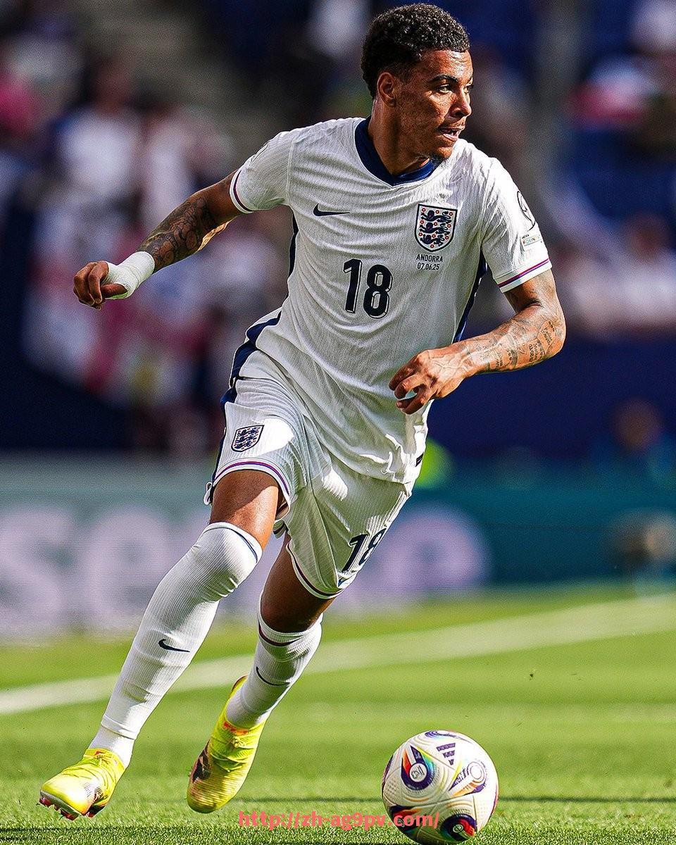 ag9游会-法甲外籍球星排行榜及市场影响力评价