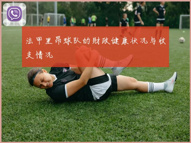 法甲里昂球队的财政健康状况与收支情况