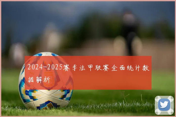2024-2025赛季法甲联赛全面统计数据解析