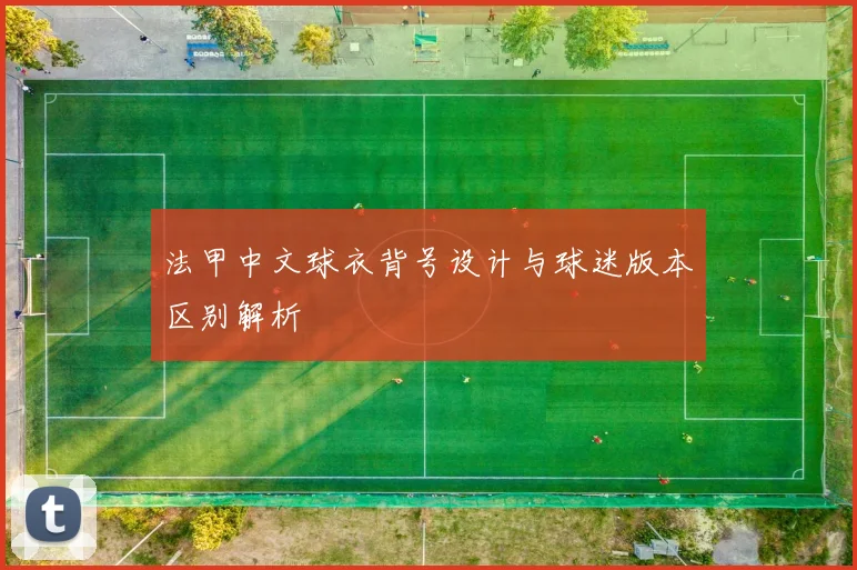 法甲中文球衣背号设计与球迷版本区别解析