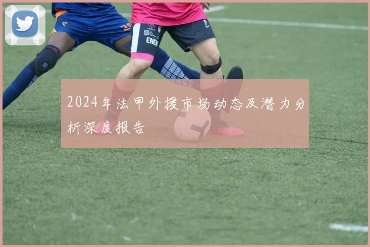 2024年法甲外援市场动态及潜力分析深度报告