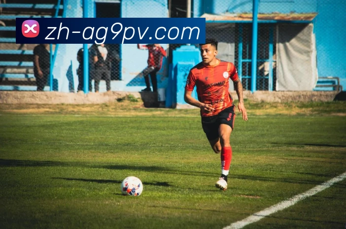 ag9游会平台生态图